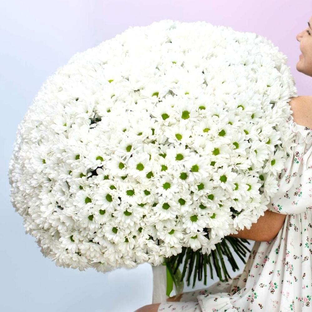 https://content2.flowwow-images.com/data/flowers/1000x1000/61/1730317238_58616061.jpg